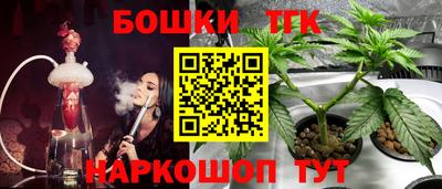 spice Ярославль