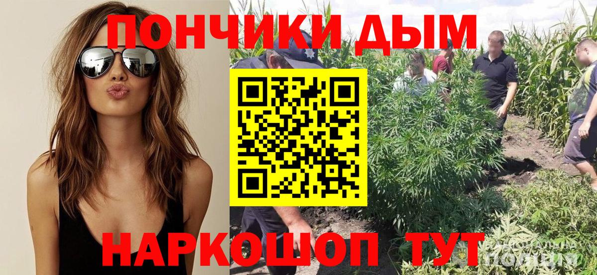 МАРИХУАНА ГИДРОПОН  Канабис Bruce Banner  Серов  Вход с VPN  Бошки Шишки AK-47 
